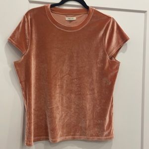 Madewell Velvet Crewneck Tee
